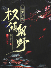 �Ӻڻ���Ȩ�㳯Ұ